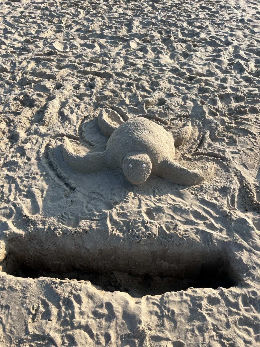 Meeresschildkröte aus Sand, mit Muschelaugen und einem Graben zum Schutz vor der Flut.