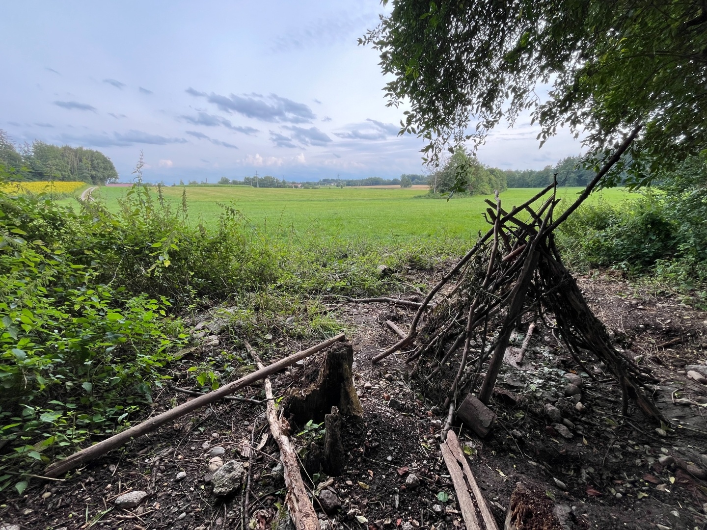 Tipi aus Ästen für Kinder, dahinter freies Feld, leicht bewölkter Abendhimmel