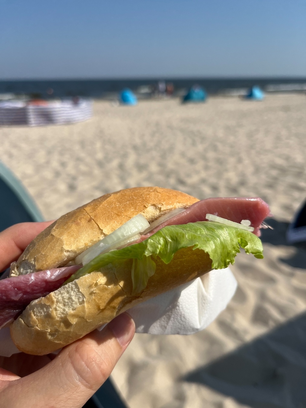 Matjessemmel im Vordergrund, Strand und Meer im Hintergrund unscharf