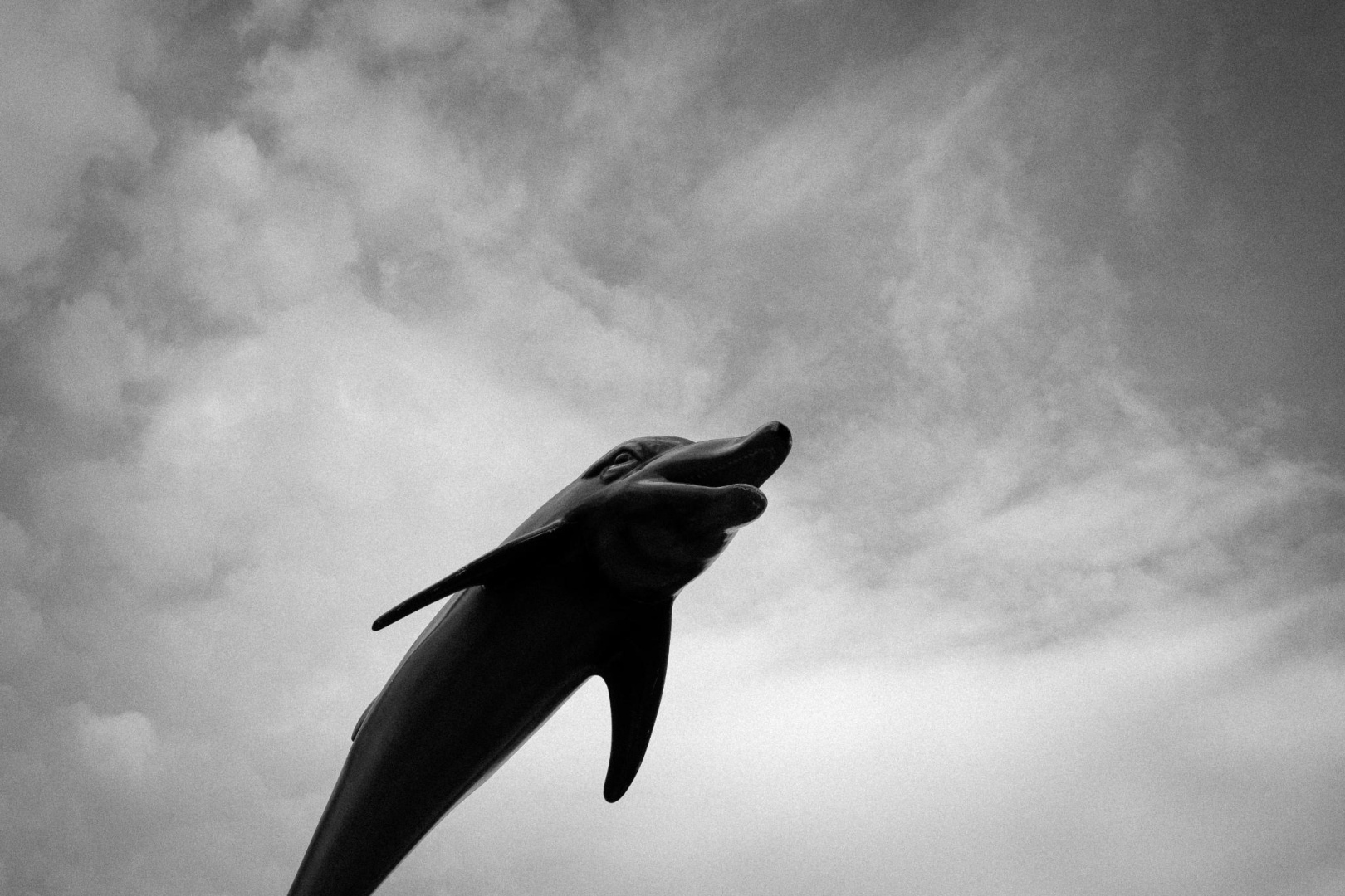 Statue eines Delfins auf einer Kirmes. Es sieht so aus als ob der Delfin in der Luft schwebt