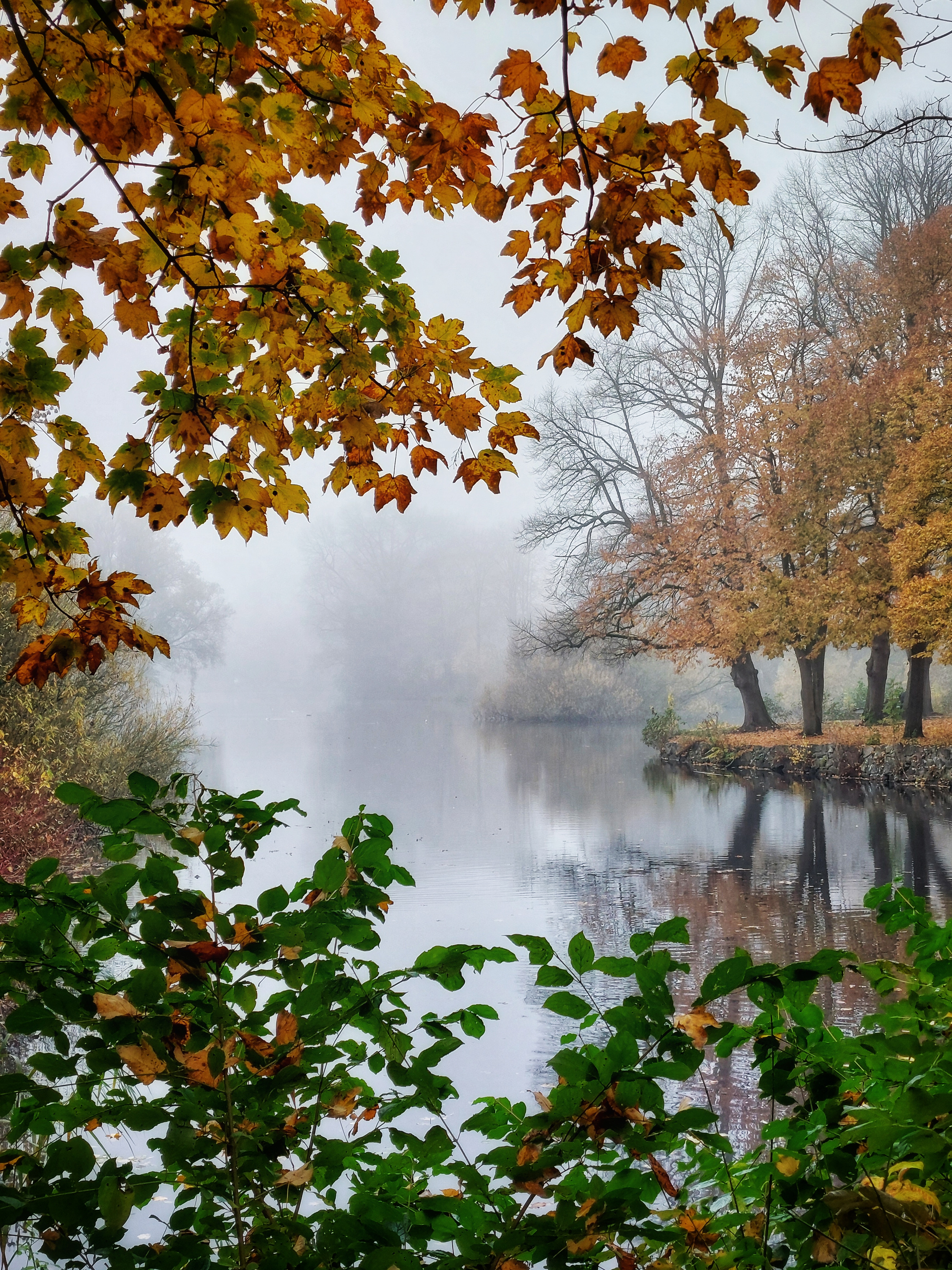 leaves in different colors frame the picture. Behind the frame is a view on a lake covered in fog.