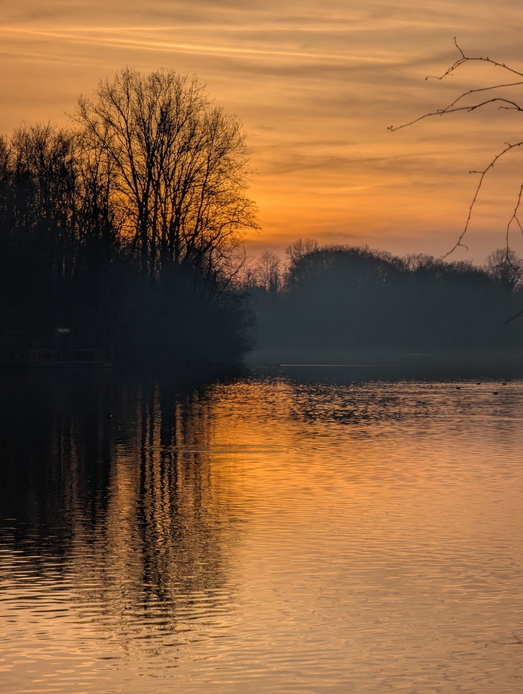 Ein stiller See bei Sonnenuntergang, umgeben von kahlen Bäumen, deren Silhouetten sich im ruhigen Wasser spiegeln. Der Himmel leuchtet in warmen Orange- und Gelbtönen, während die Szenerie eine ruhige, friedliche Stimmung vermittelt. Einige Äste ragen am rechten Bildrand ins Bild.