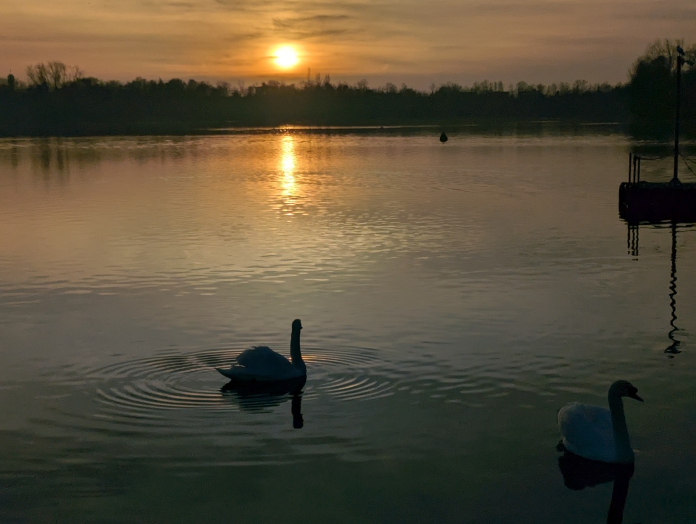 Ein Sonnenuntergang über einem ruhigen See mit zwei Schwänen im Vordergrund. Der Himmel ist in warmen Orange- und Gelbtönen gefärbt, und die Spiegelung des Sonnenlichts auf dem Wasser erzeugt eine friedliche Atmosphäre. Silhouetten von Bäumen und einem kleinen Steg sind im Hintergrund zu sehen.