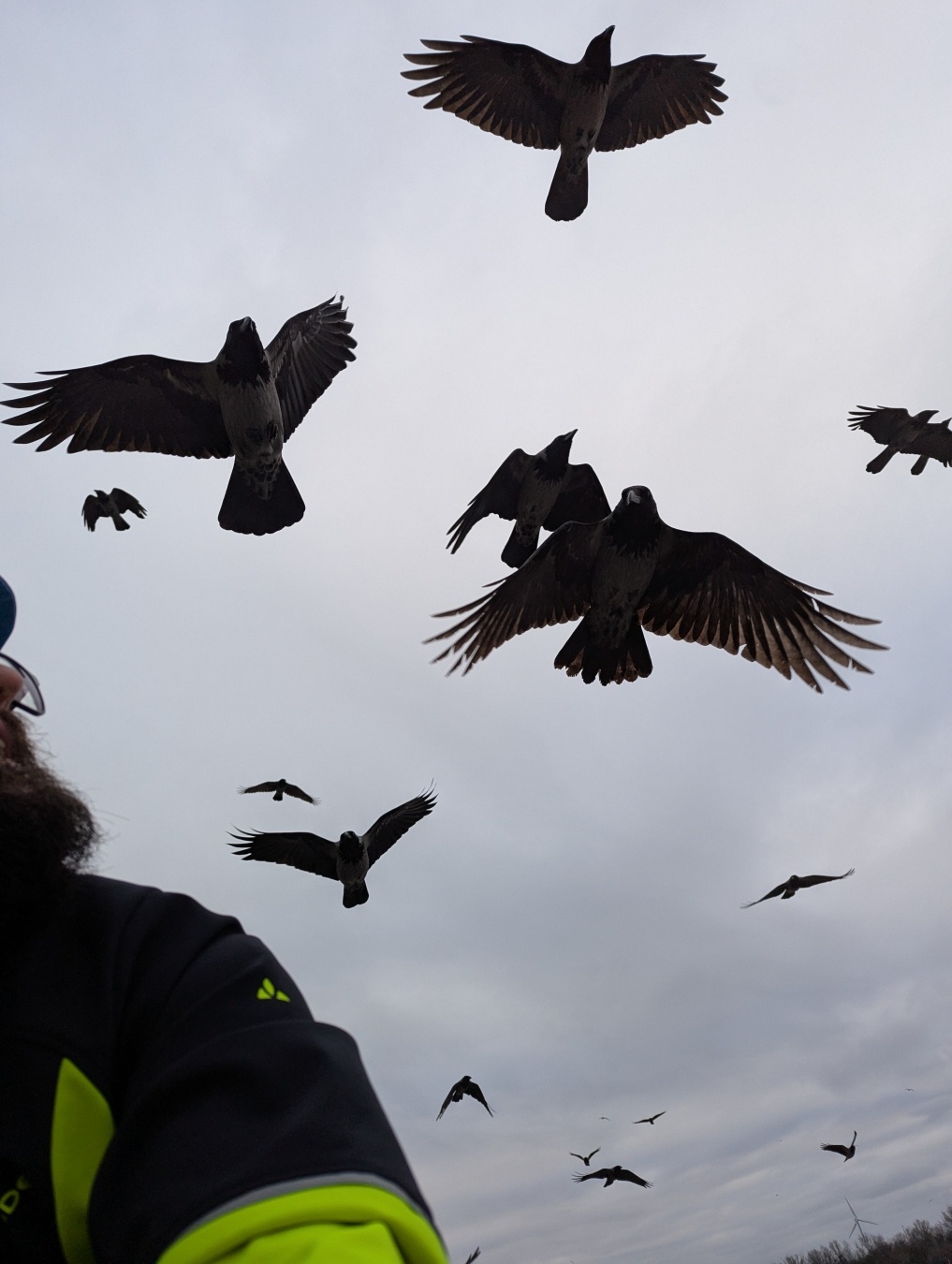 Foto nach hinten während des Radfahrens: ich bin links abgeschnitten drauf, neben und über mir sind viele große, dunkle Krähen, die nahe neben mir fliegen.