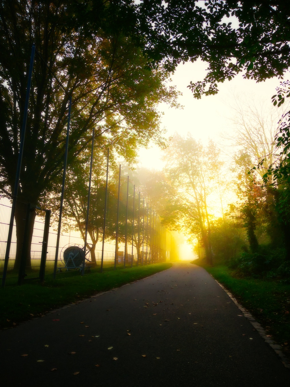 The picture shows a bicycle lane, surrounded by trees left and right. On the left side, a fence is visible, behind it some soccer field. It is a foggy morning - in the distance, where the sun is rising - the background is glowing in a warm orange tone.