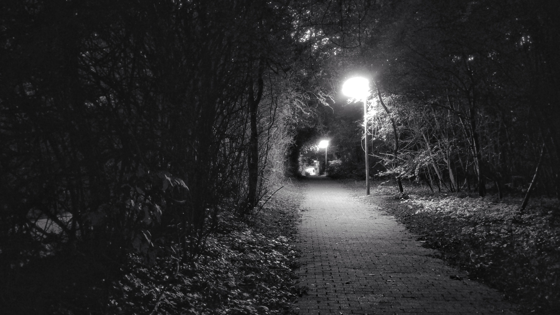 Schwarz-Weiß-Foto eines Fußwegs, der von Straßenlaternen beleuchtet ist.