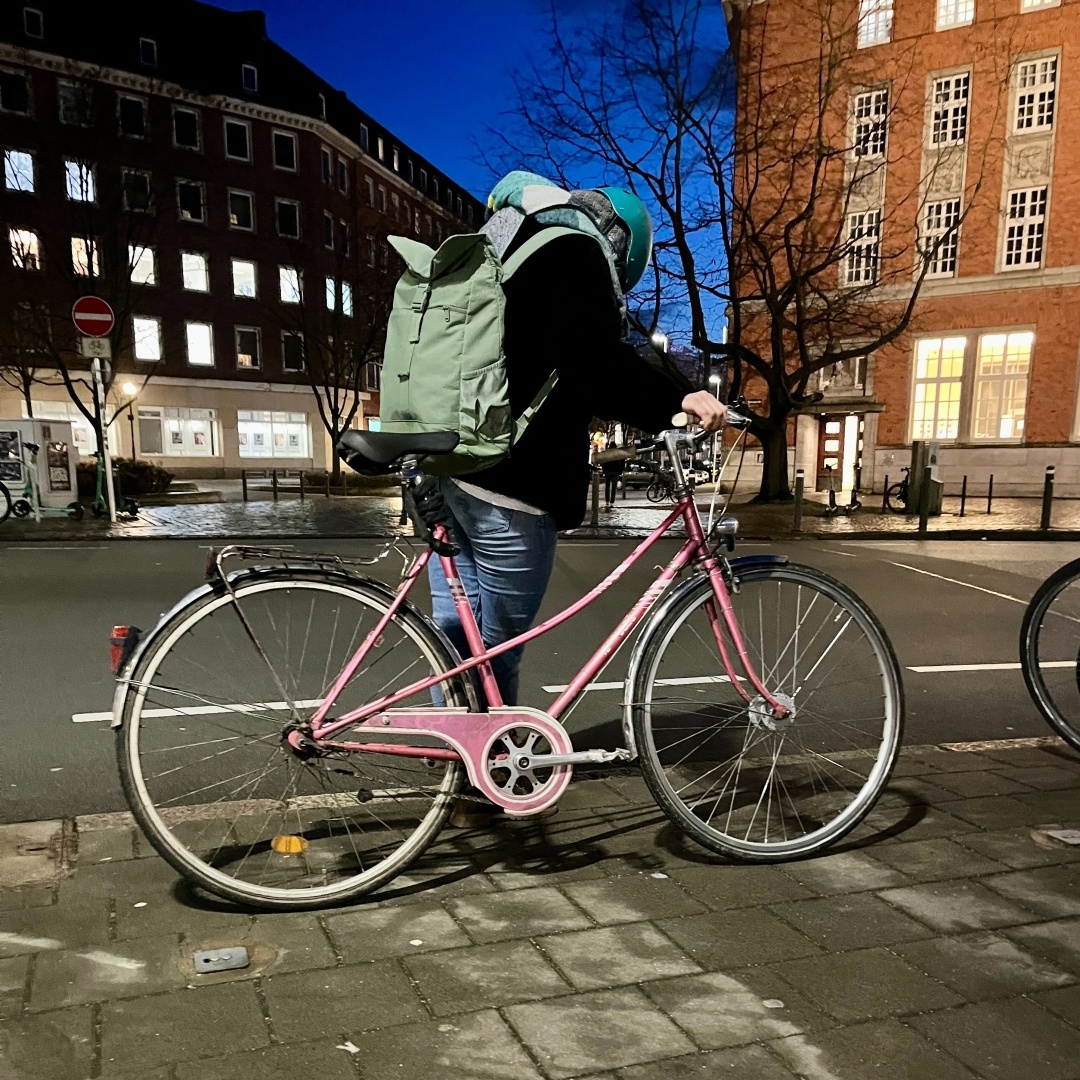 Rosa Mixte-Fahrrad in Kiel