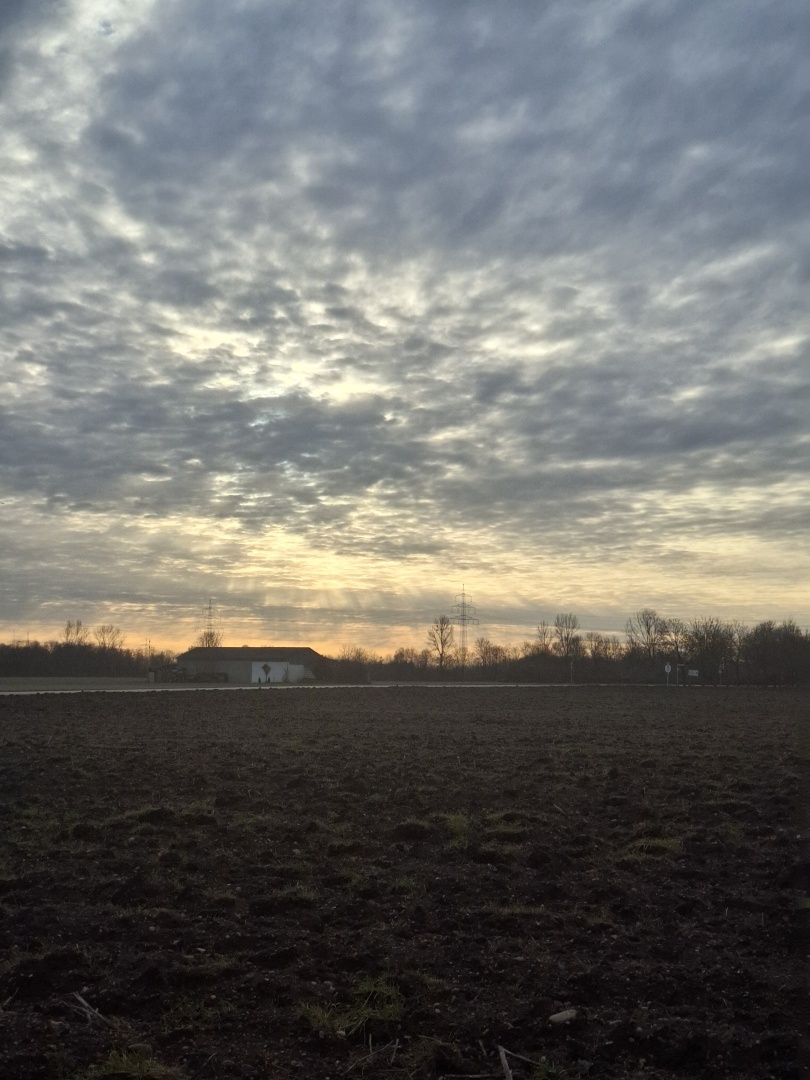 A landscape showing farmlands, a house, and a power pole in a cloudy, shimmering dawn.